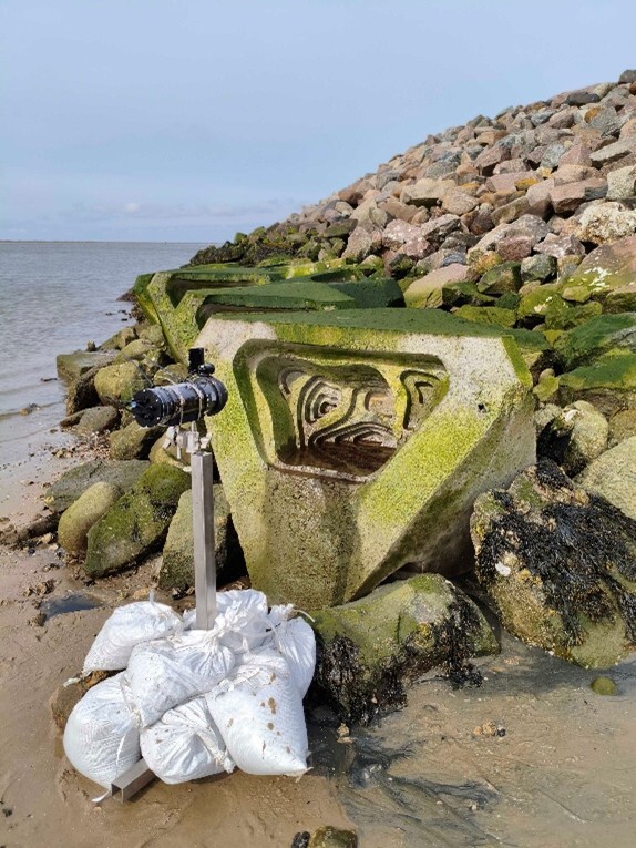PIN Challenge - Carbon Neutral Port Infrastructure